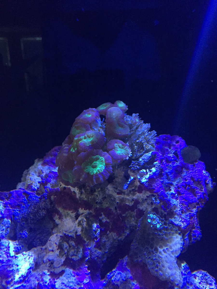 IMG_8379.JPG