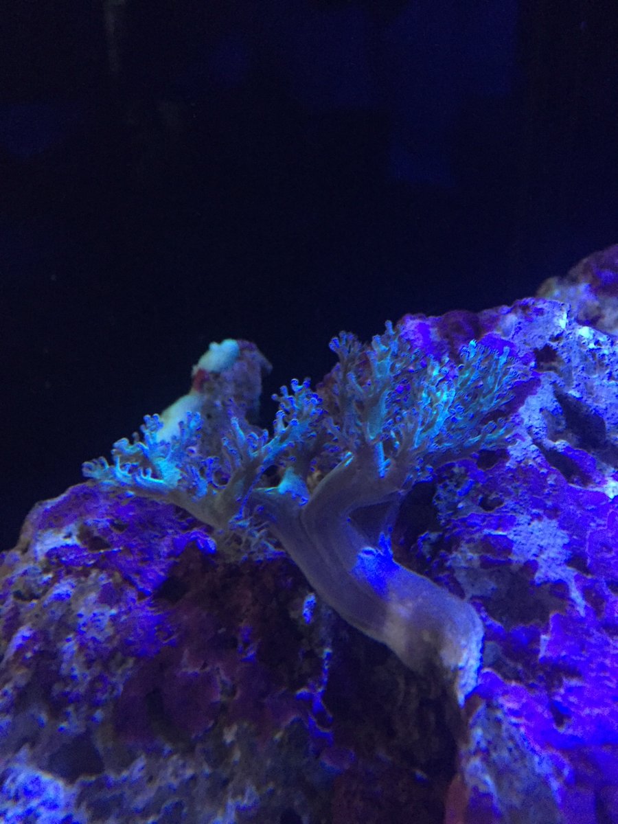IMG_8380.JPG