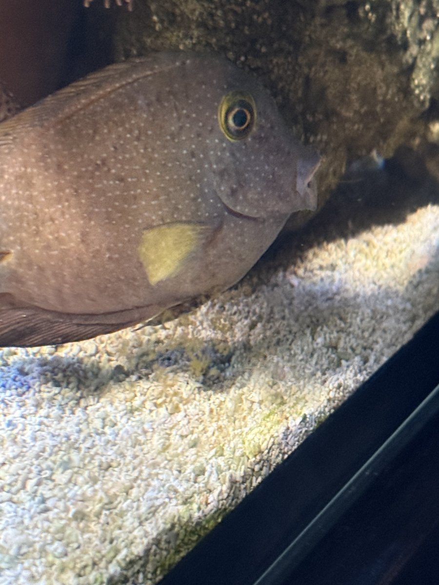 IMG_8383.jpeg