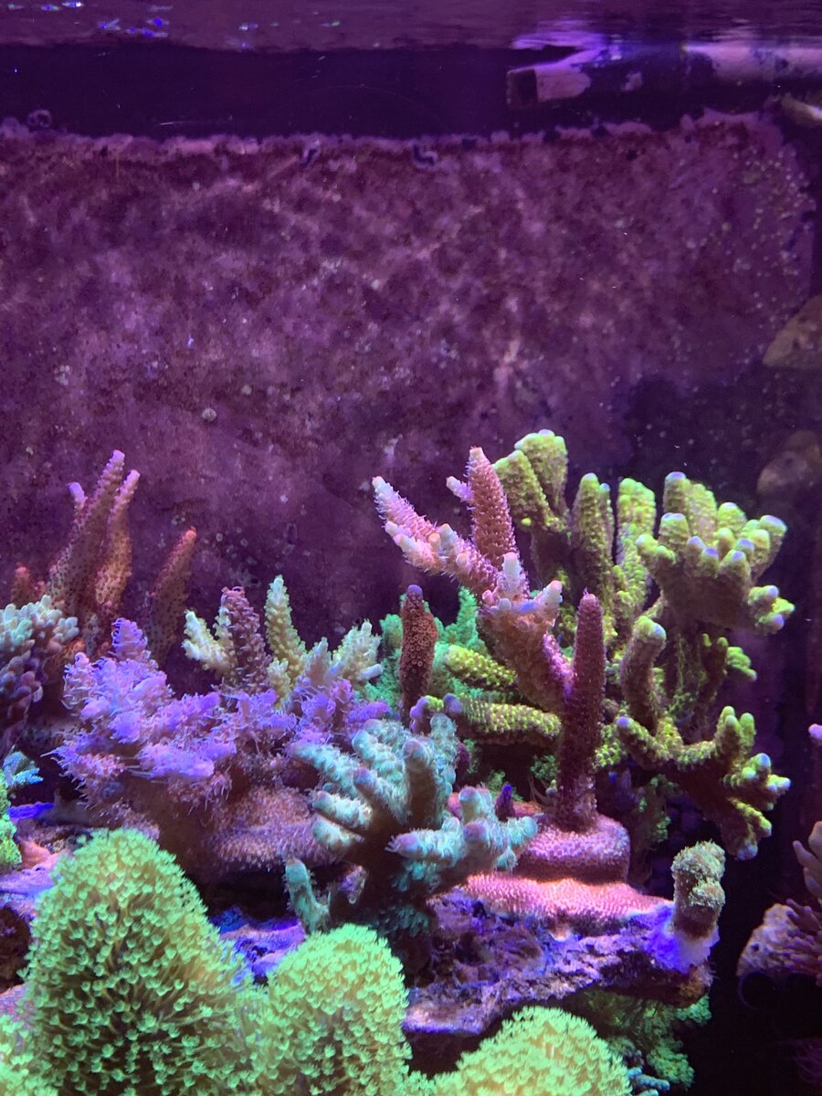 IMG_8405.jpeg