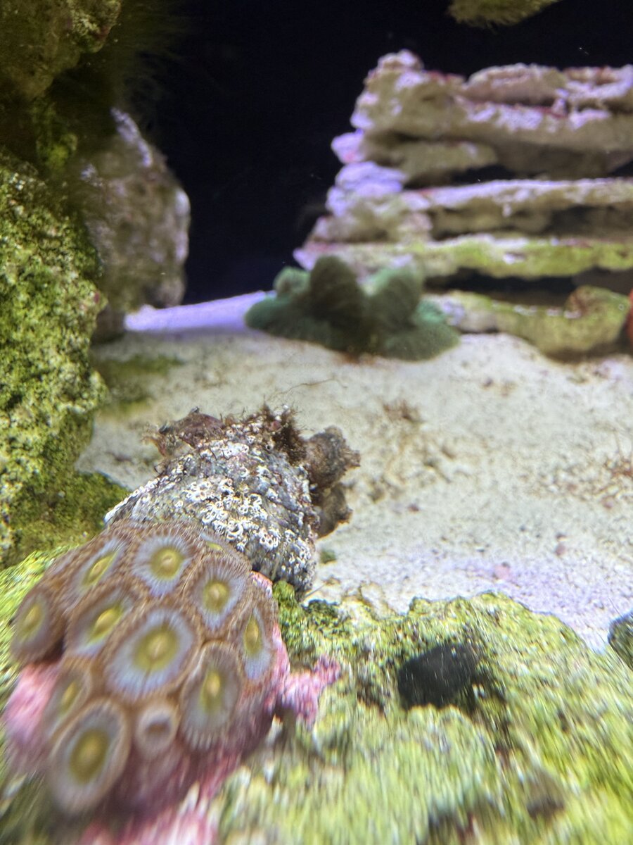 IMG_8408.jpeg