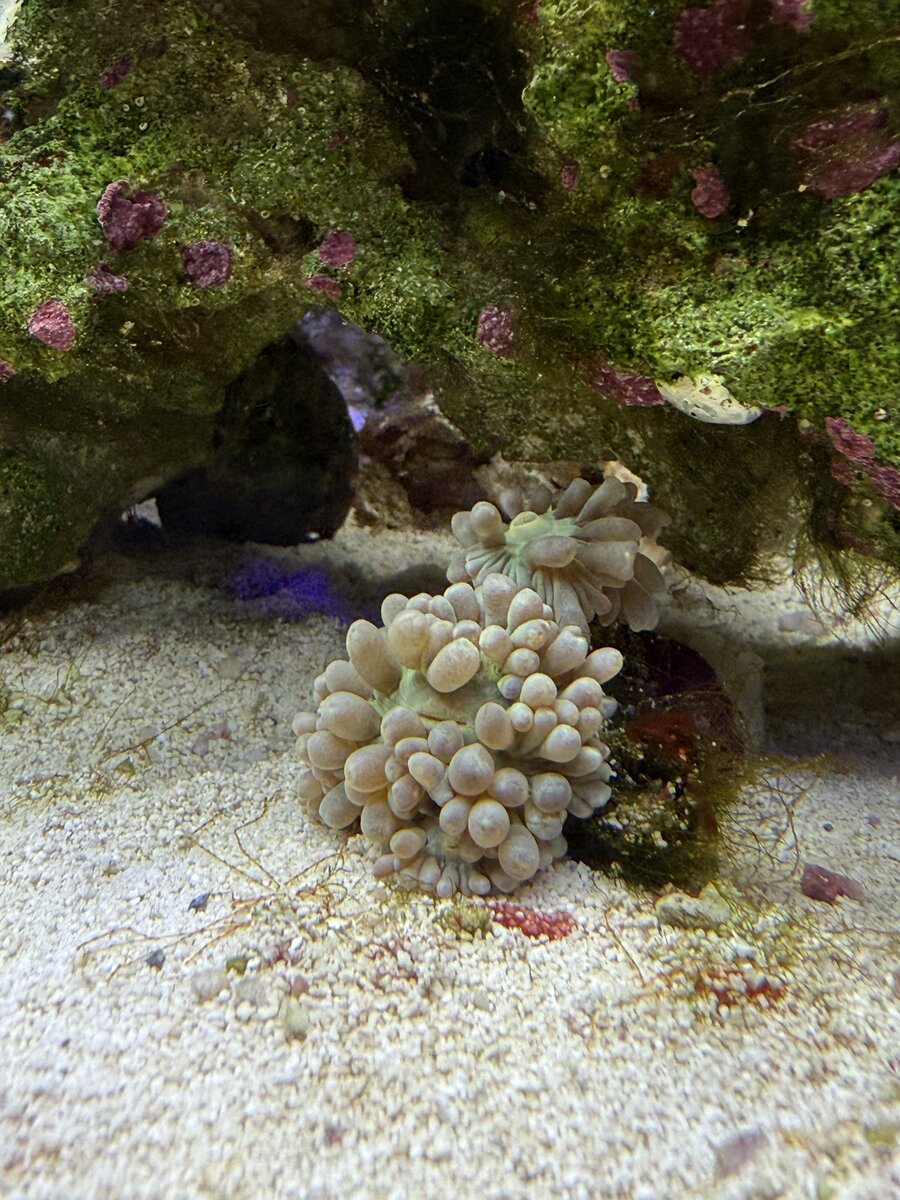 IMG_8417.jpeg