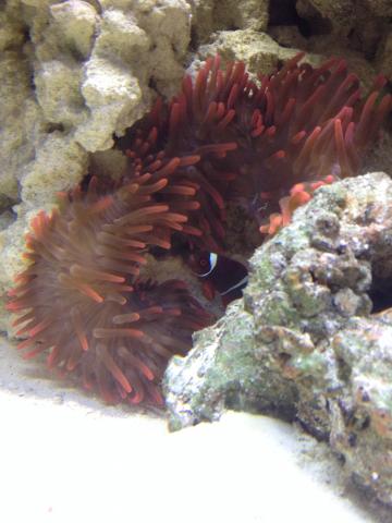 IMG_8418.jpg