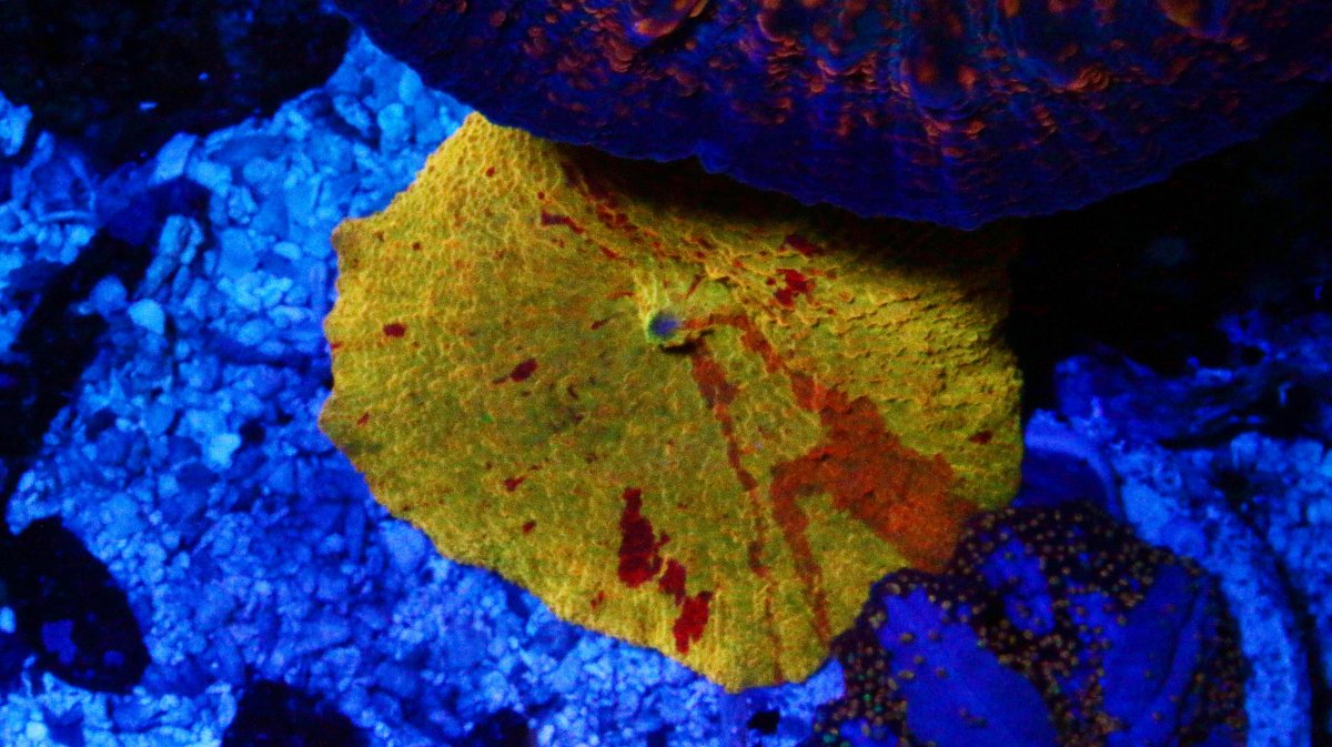 IMG_8423.JPG
