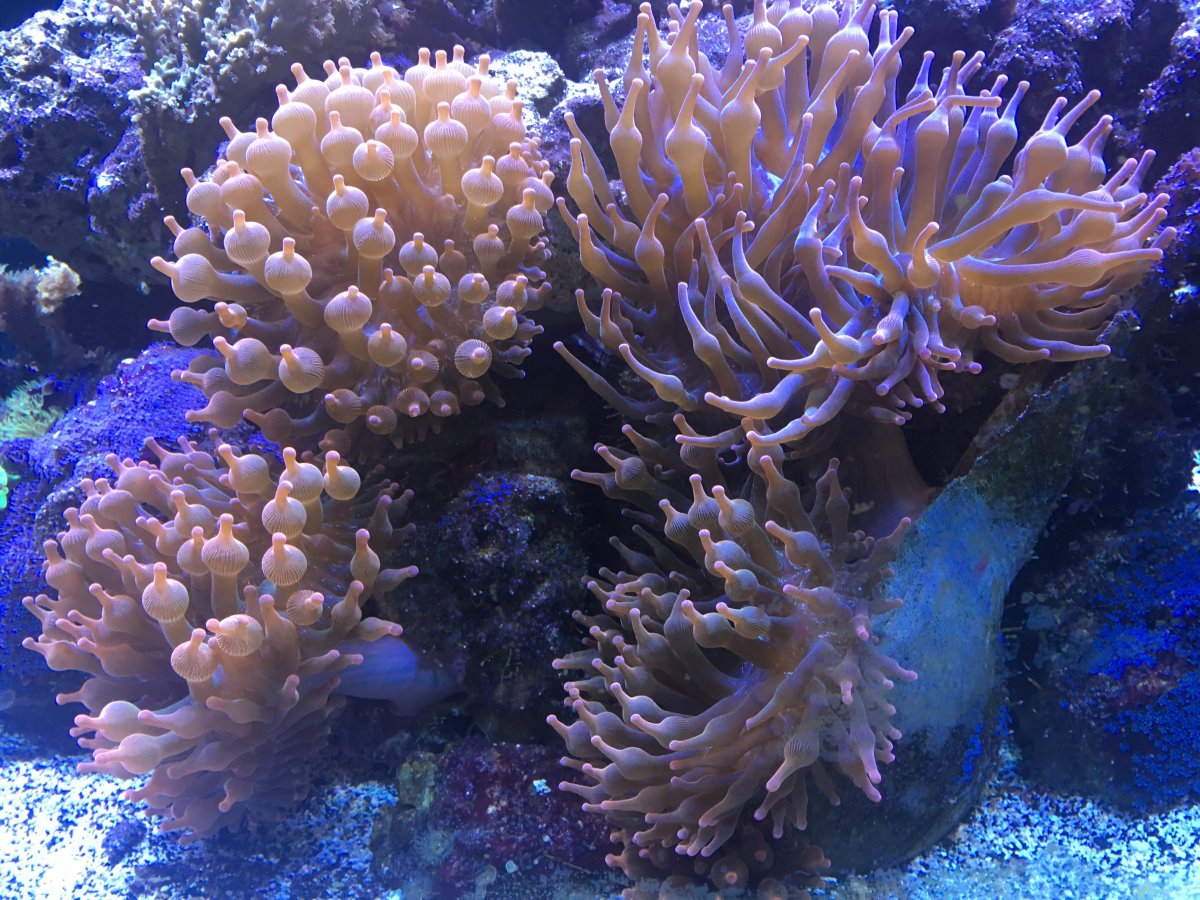 IMG_8467.JPG