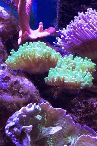 IMG_8473.jpeg