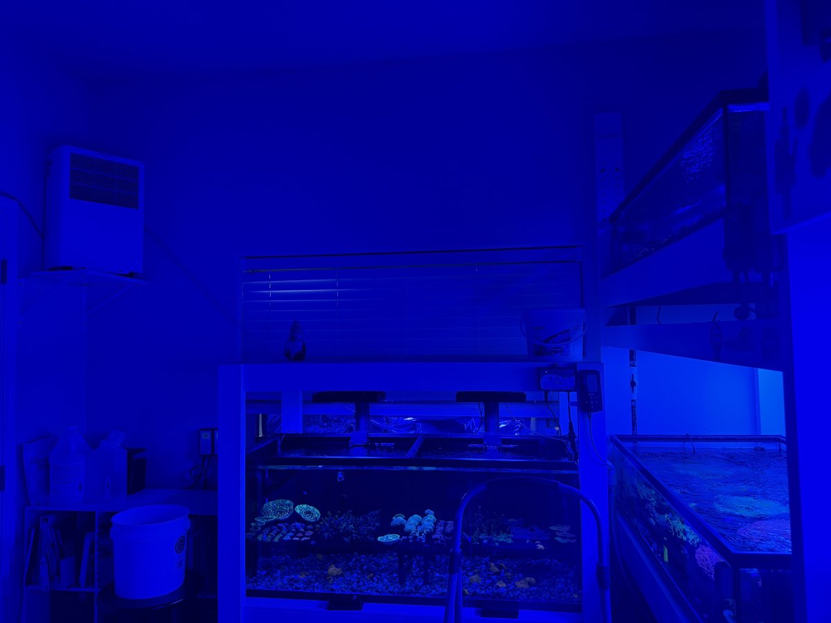 IMG_8515.jpeg