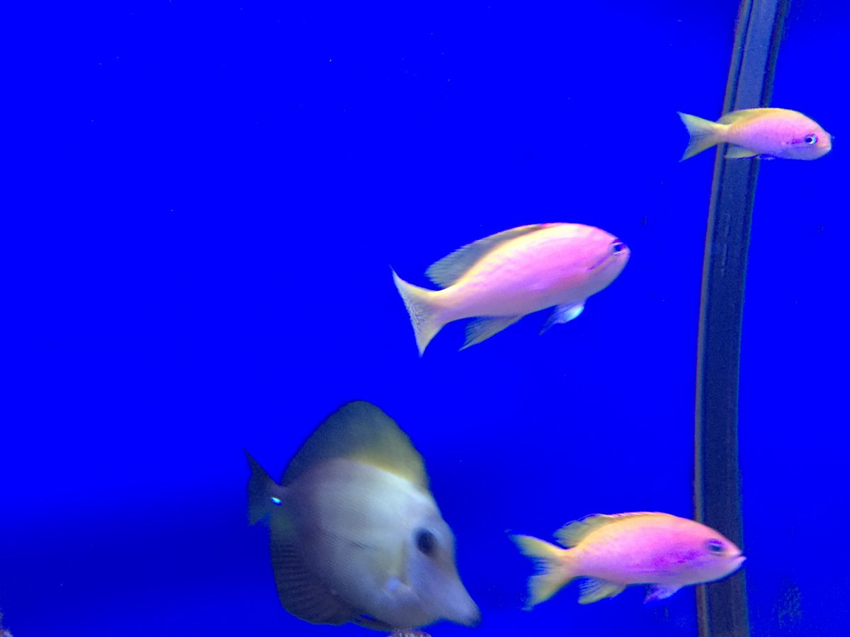 IMG_8531.JPG