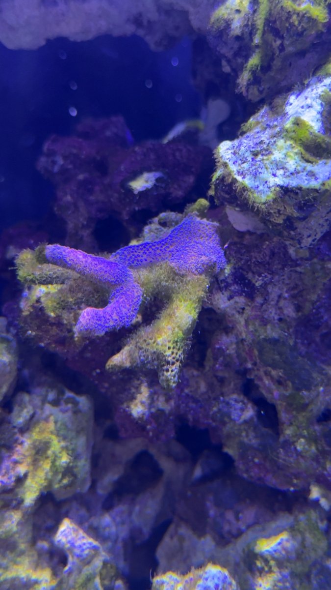 IMG_8533.jpeg