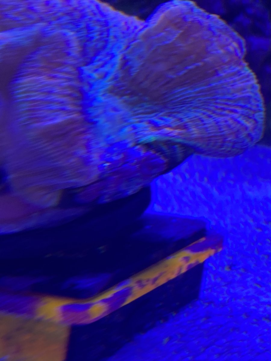 IMG_8553.jpeg