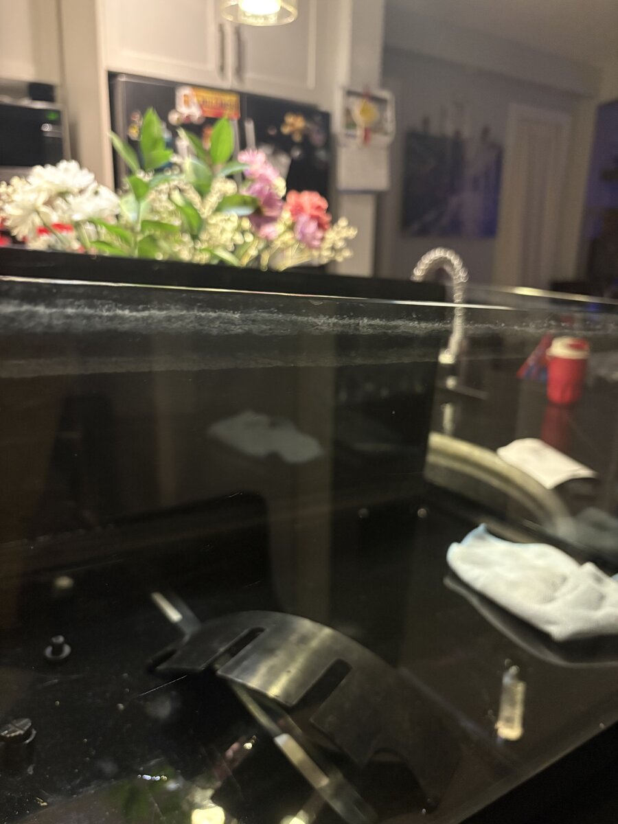IMG_8587.jpeg