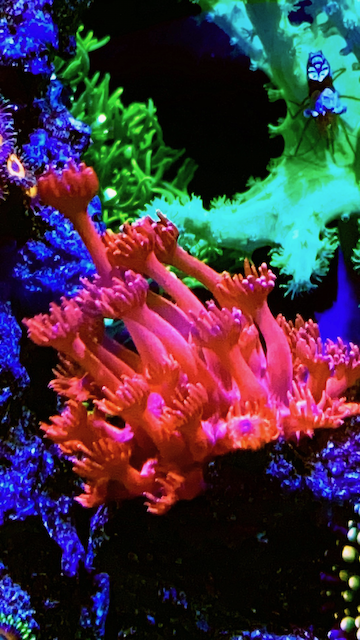 IMG_8596.png