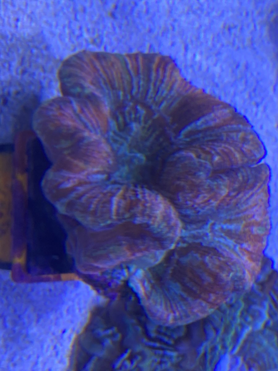 IMG_8609.jpeg