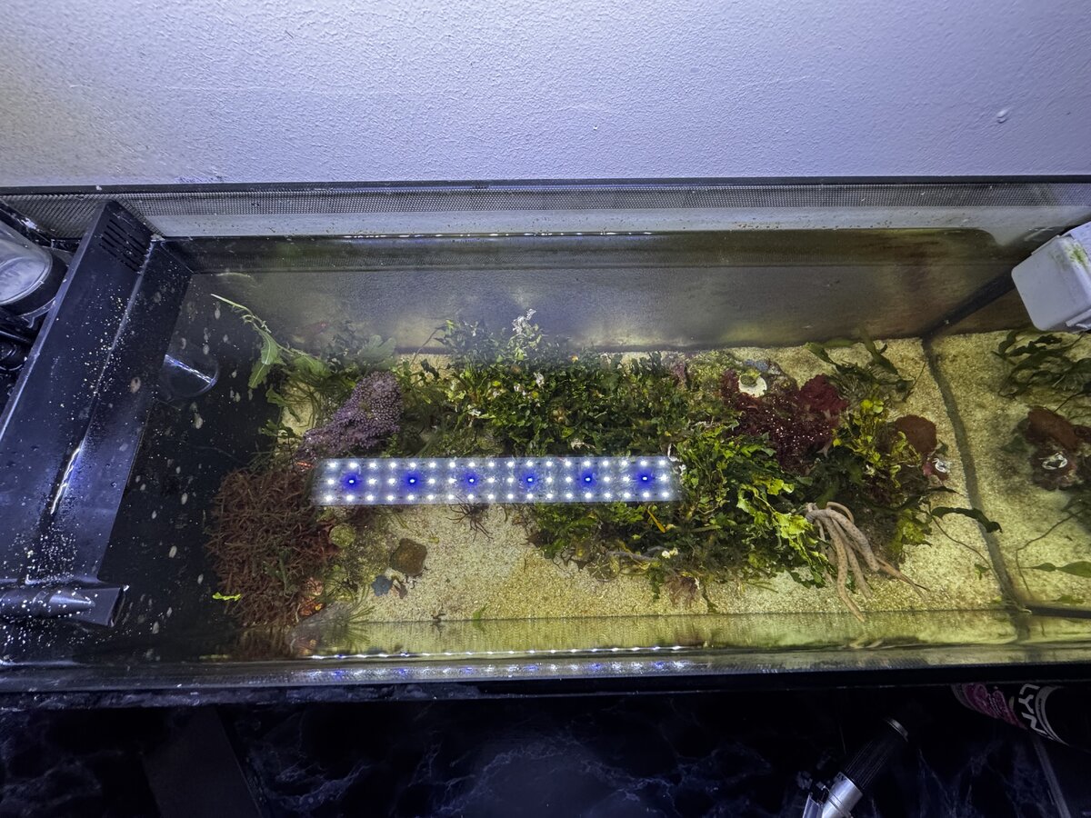 2026 FULL TANK SHOT SHOWOFF! Let's see your FTS for 2026! | Page 20 ...
