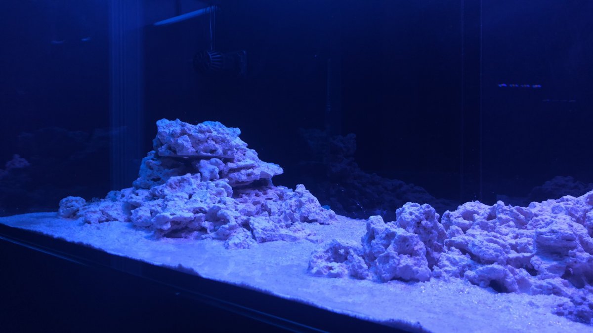 IMG_8653.JPG