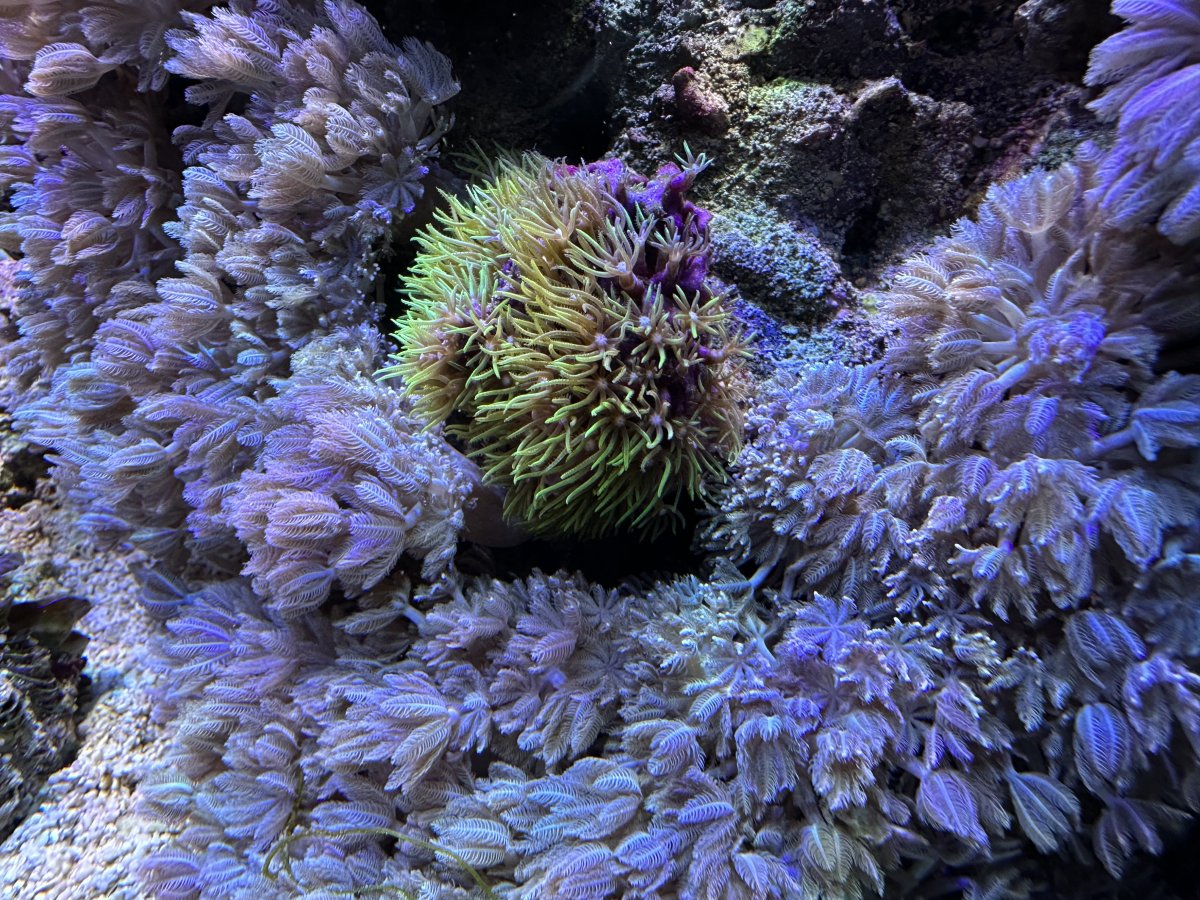 IMG_8695.jpeg