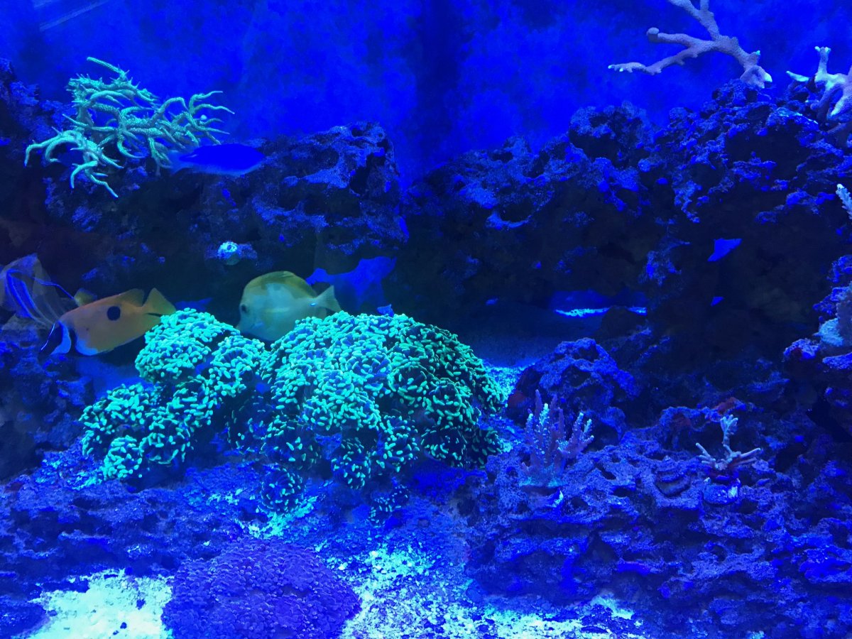 IMG_8705.jpg