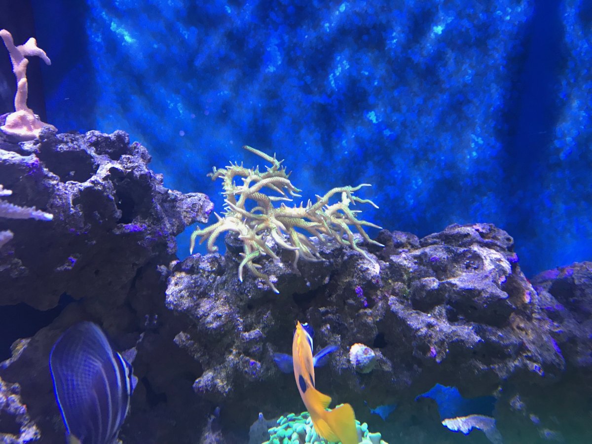 IMG_8716.jpg
