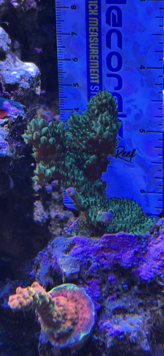 IMG_8717.png