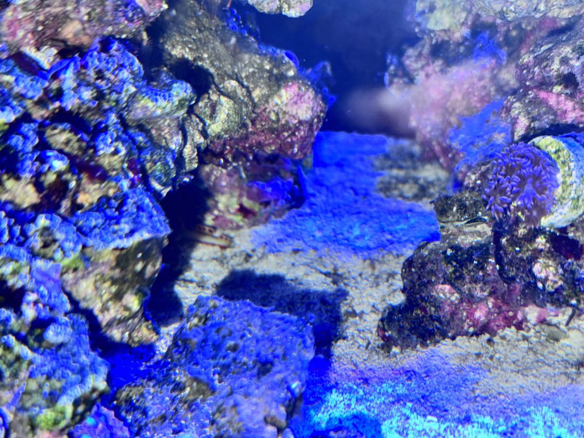 IMG_8724.jpeg