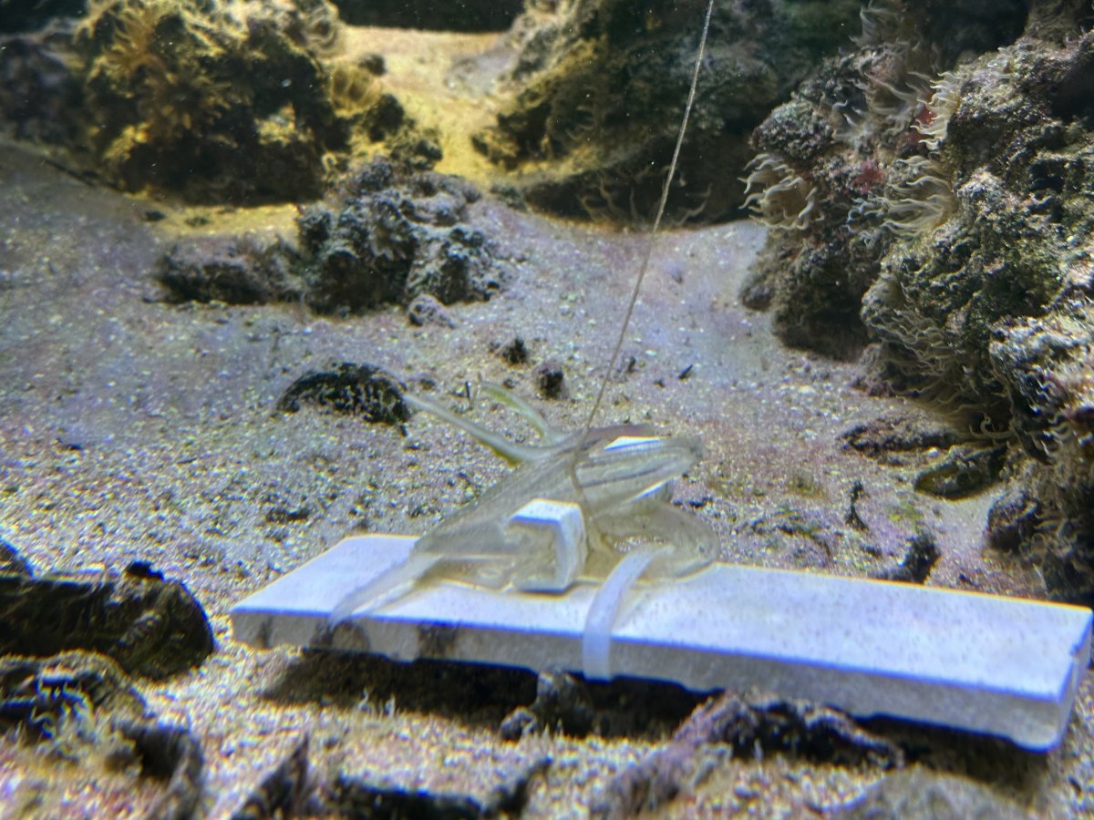 IMG_8728.jpeg