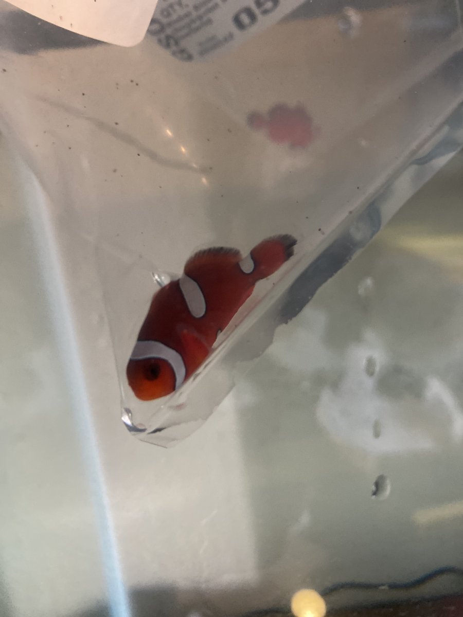 IMG_8738.JPEG