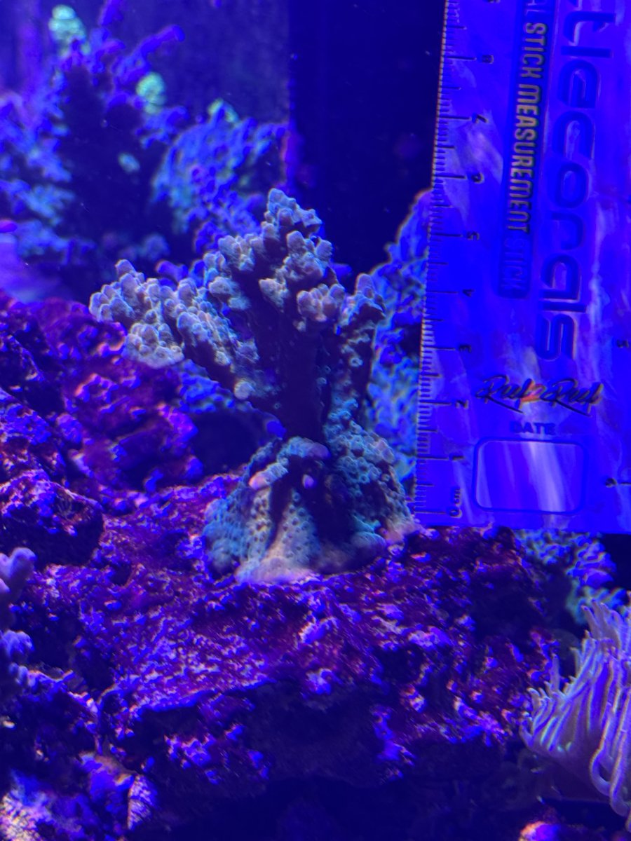 IMG_8752.jpeg
