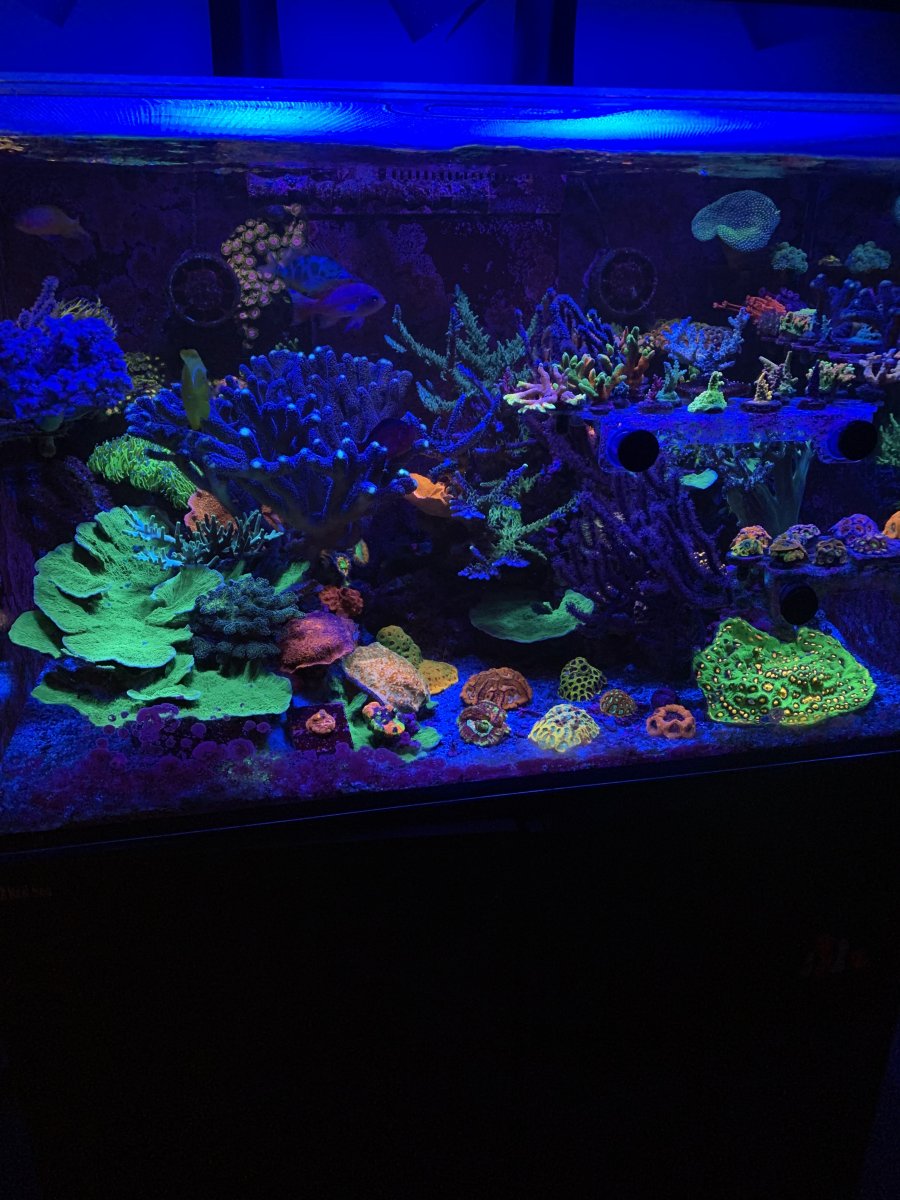 IMG_8756.jpeg