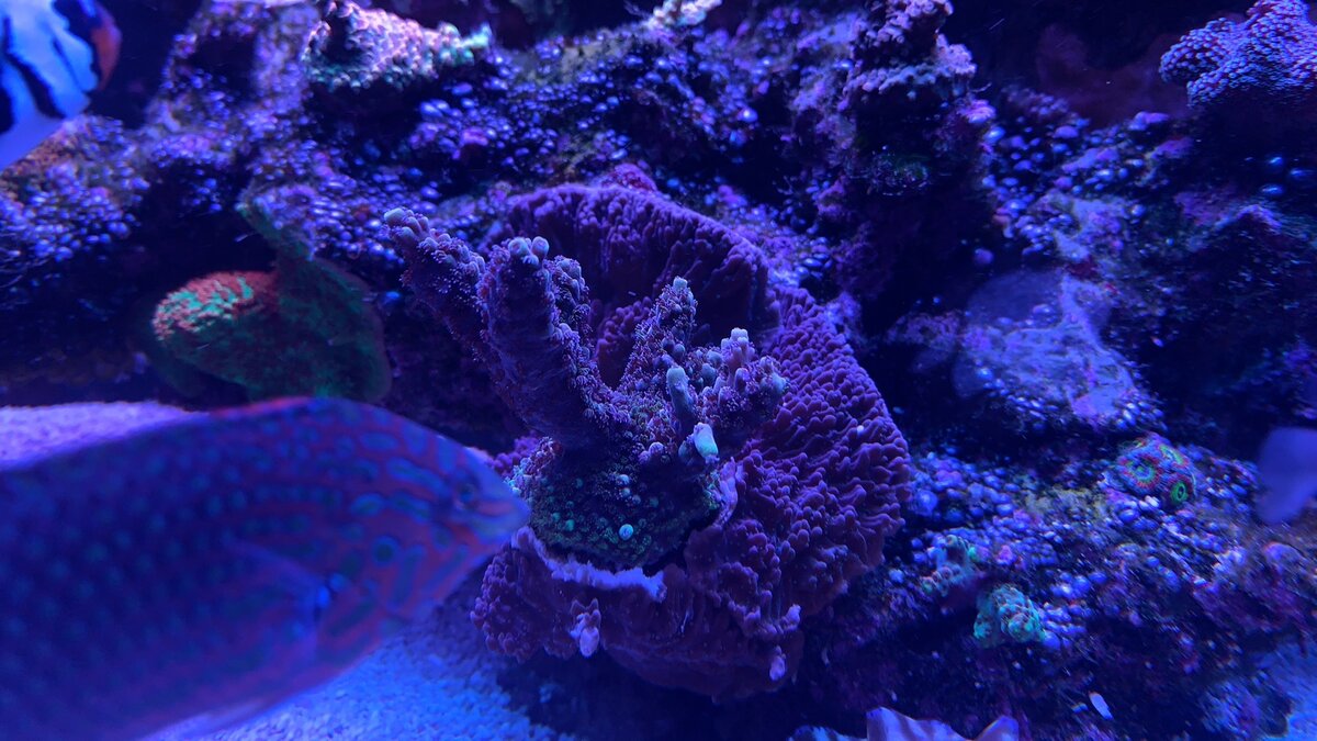 IMG_8801.jpeg