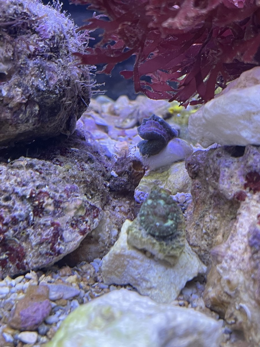IMG_8808.jpeg