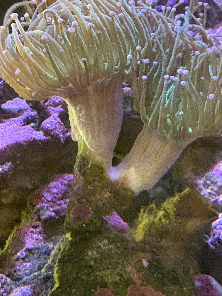 IMG_8813.jpeg