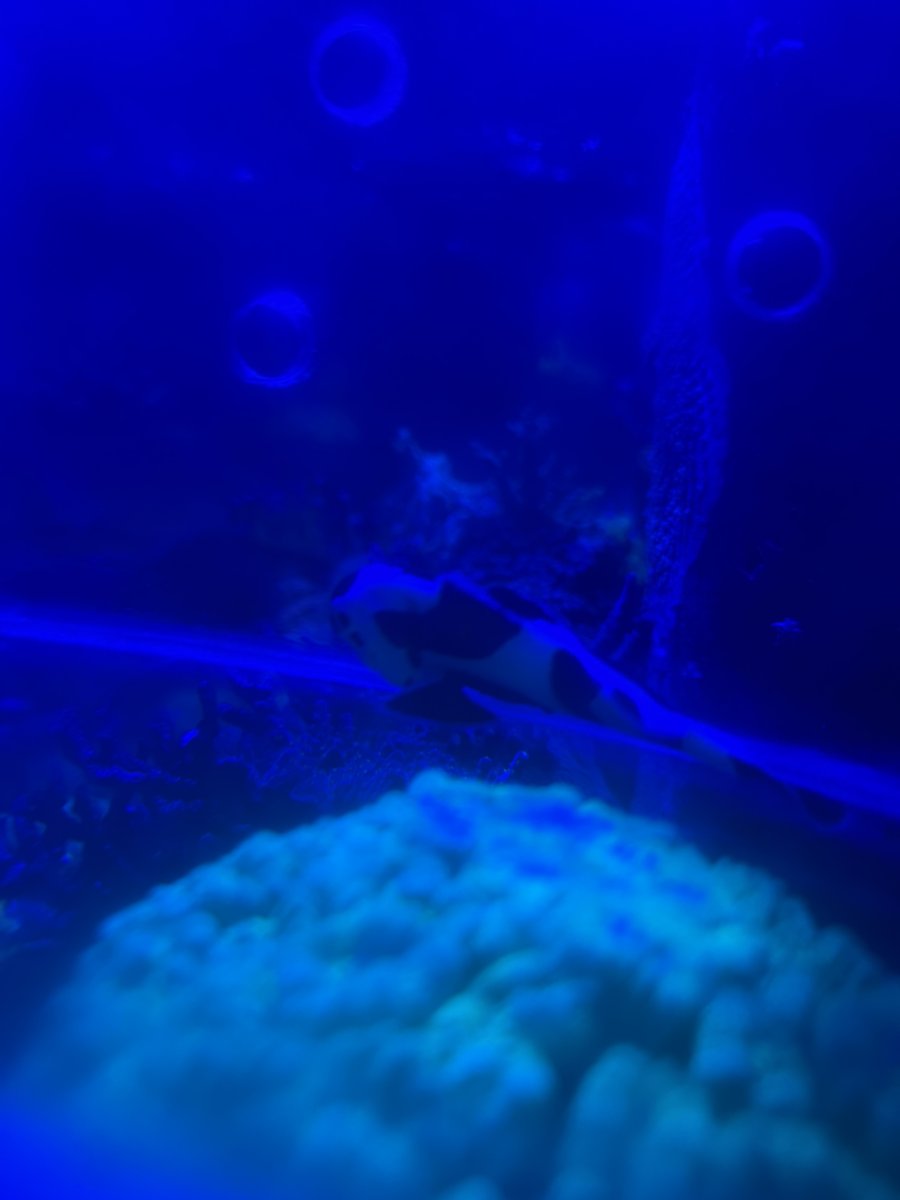 IMG_8814.jpeg