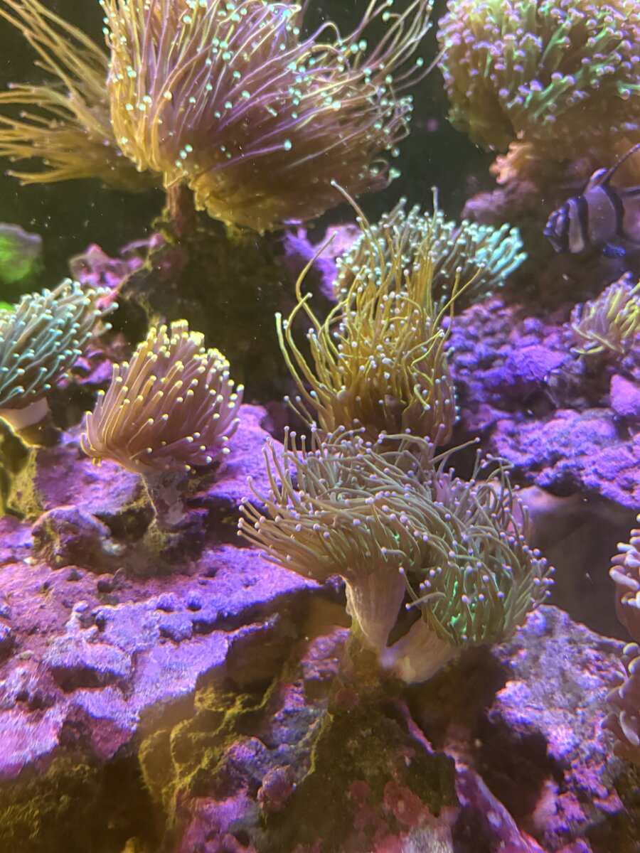 IMG_8815.jpeg