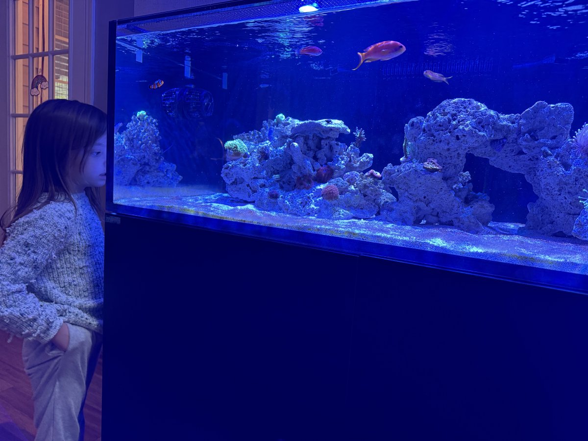 Build Thread - Scott’s Infinia Frag 125.4 build Shallow Reef | Page 6 ...