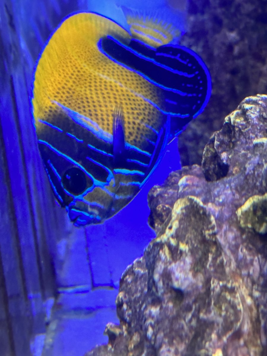 IMG_8832.jpeg