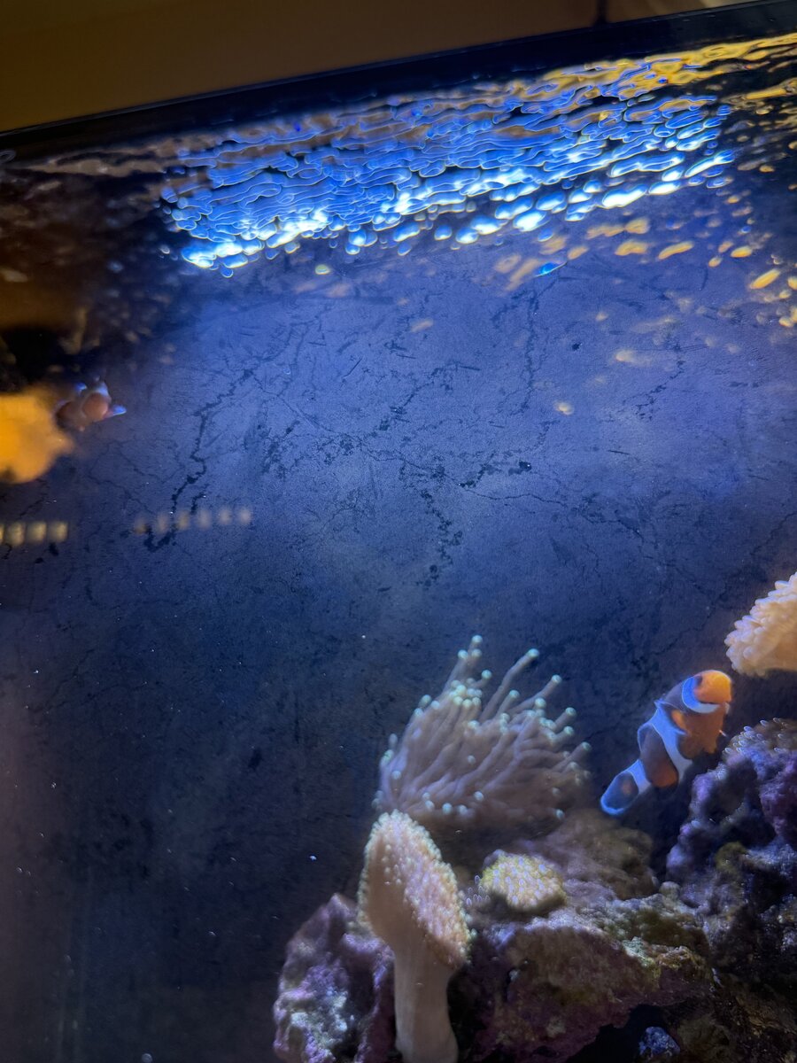 IMG_8880.jpeg