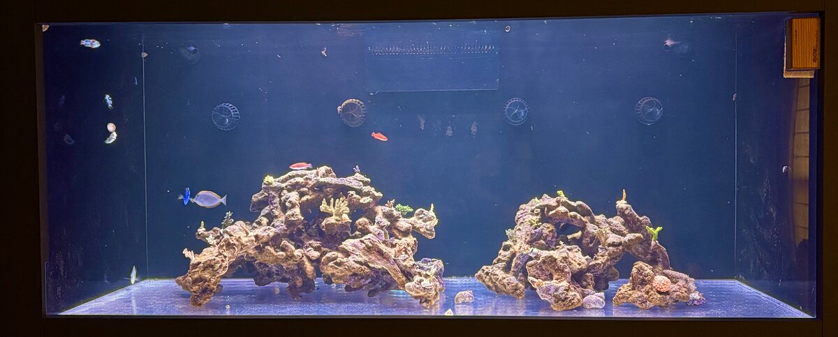 Large Build - For Real This Time, It's the Last Tank... I Promise ...