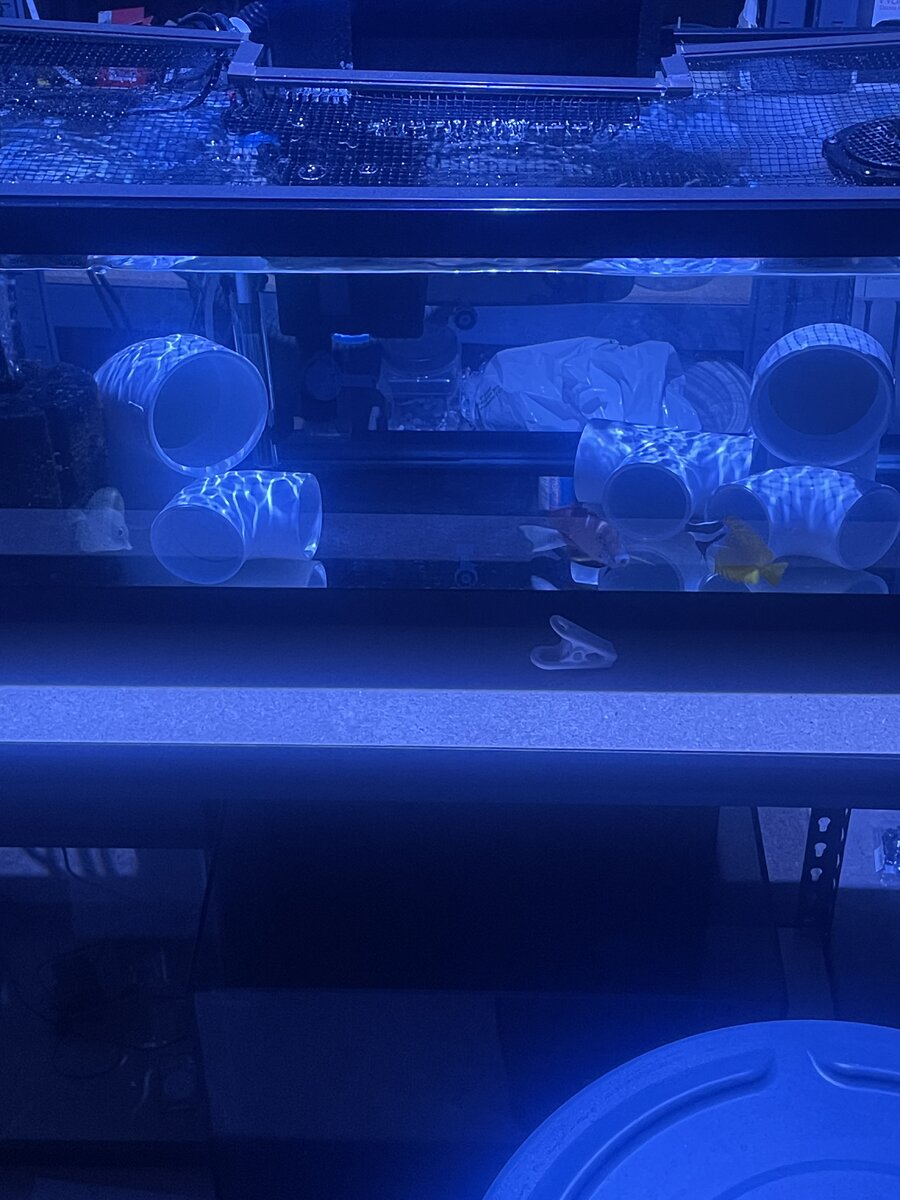 IMG_8913.jpeg