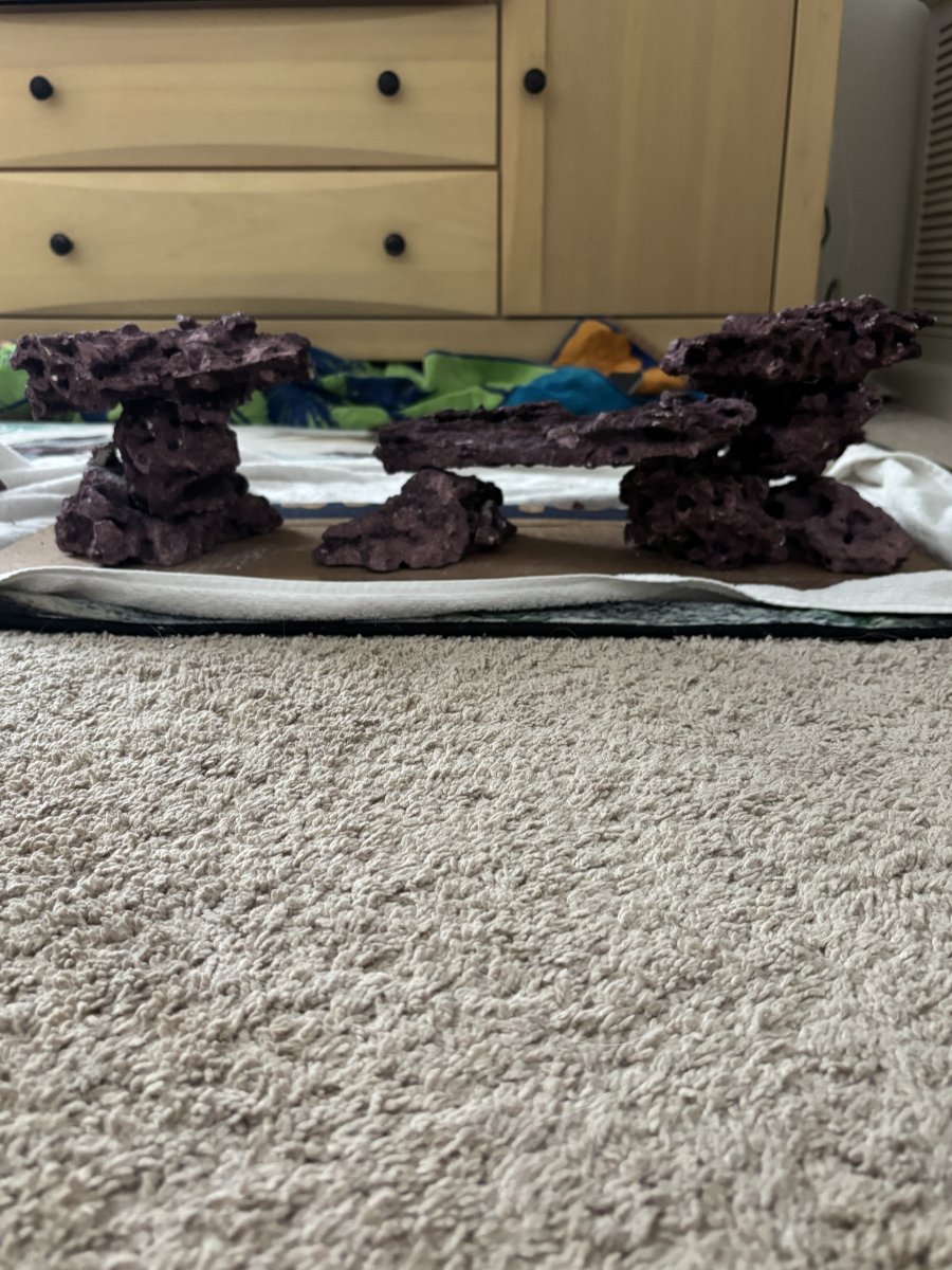 IMG_8934.jpeg