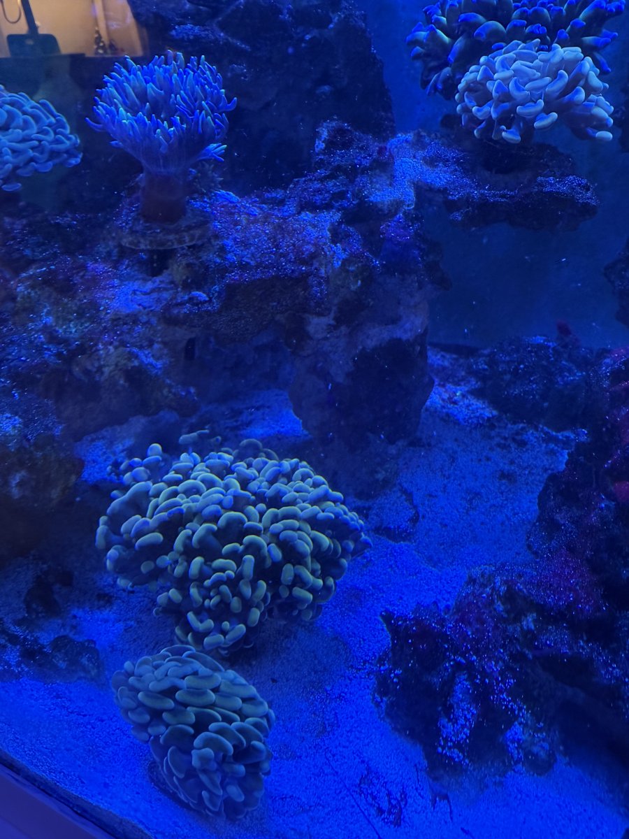 IMG_8935.jpeg