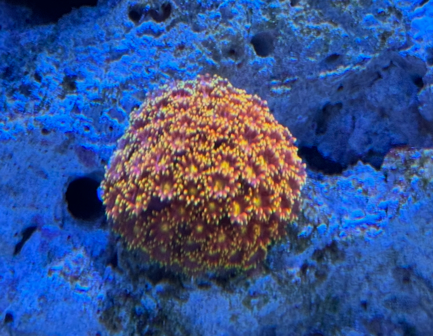 IMG_8968.jpeg