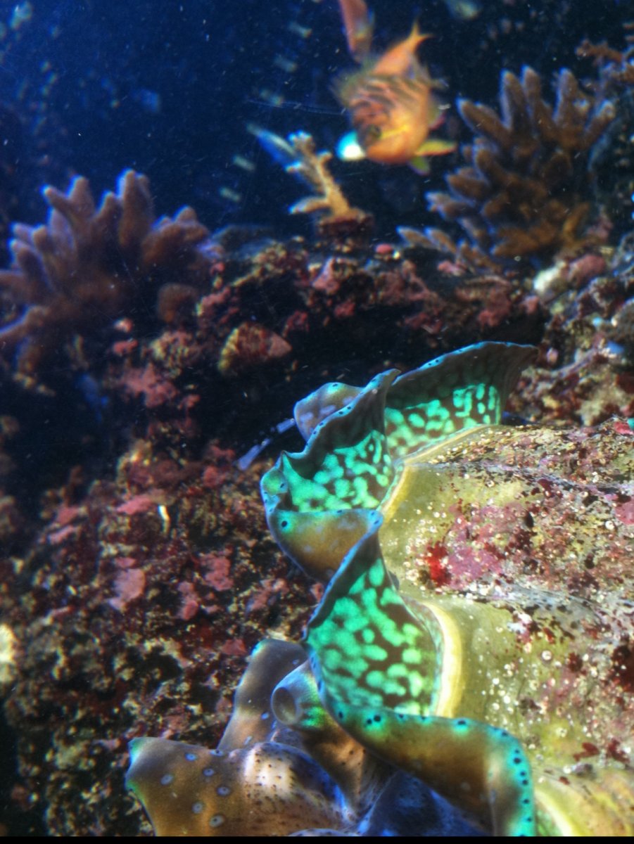 IMG_8972.jpeg