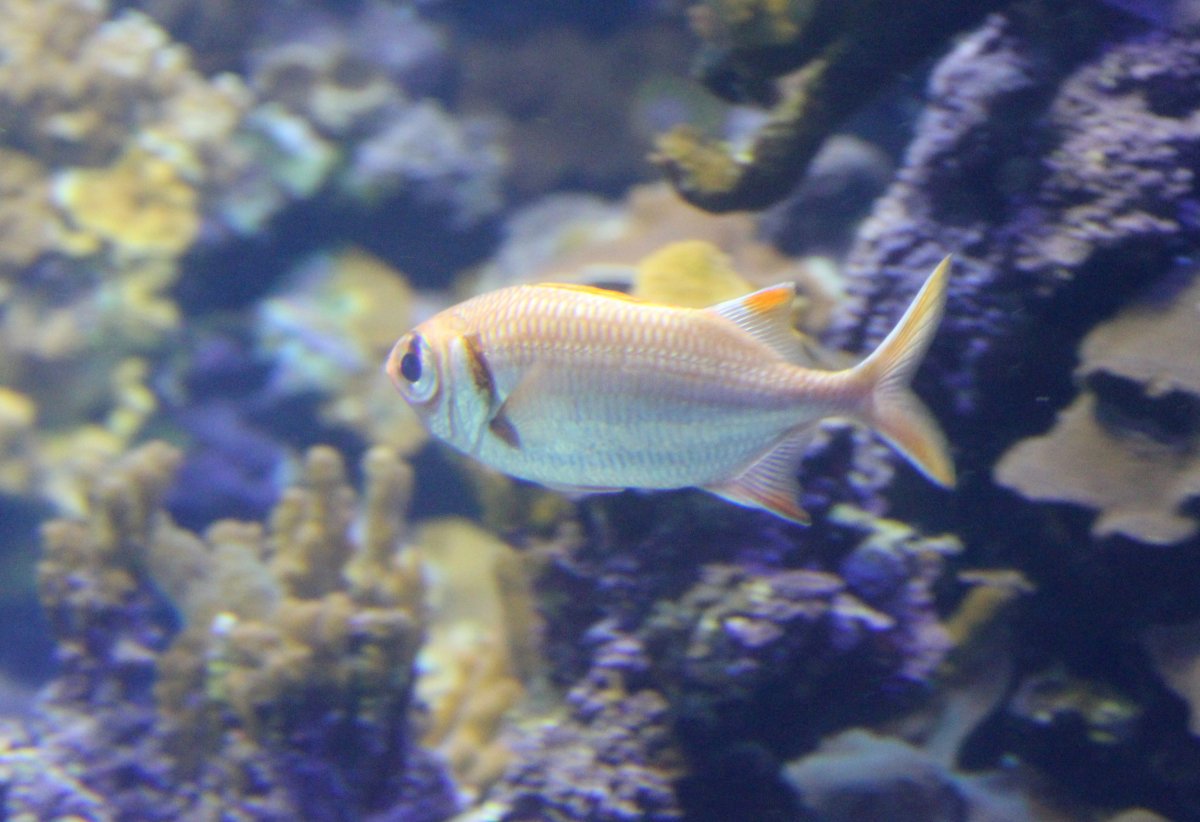 IMG_9008.JPG