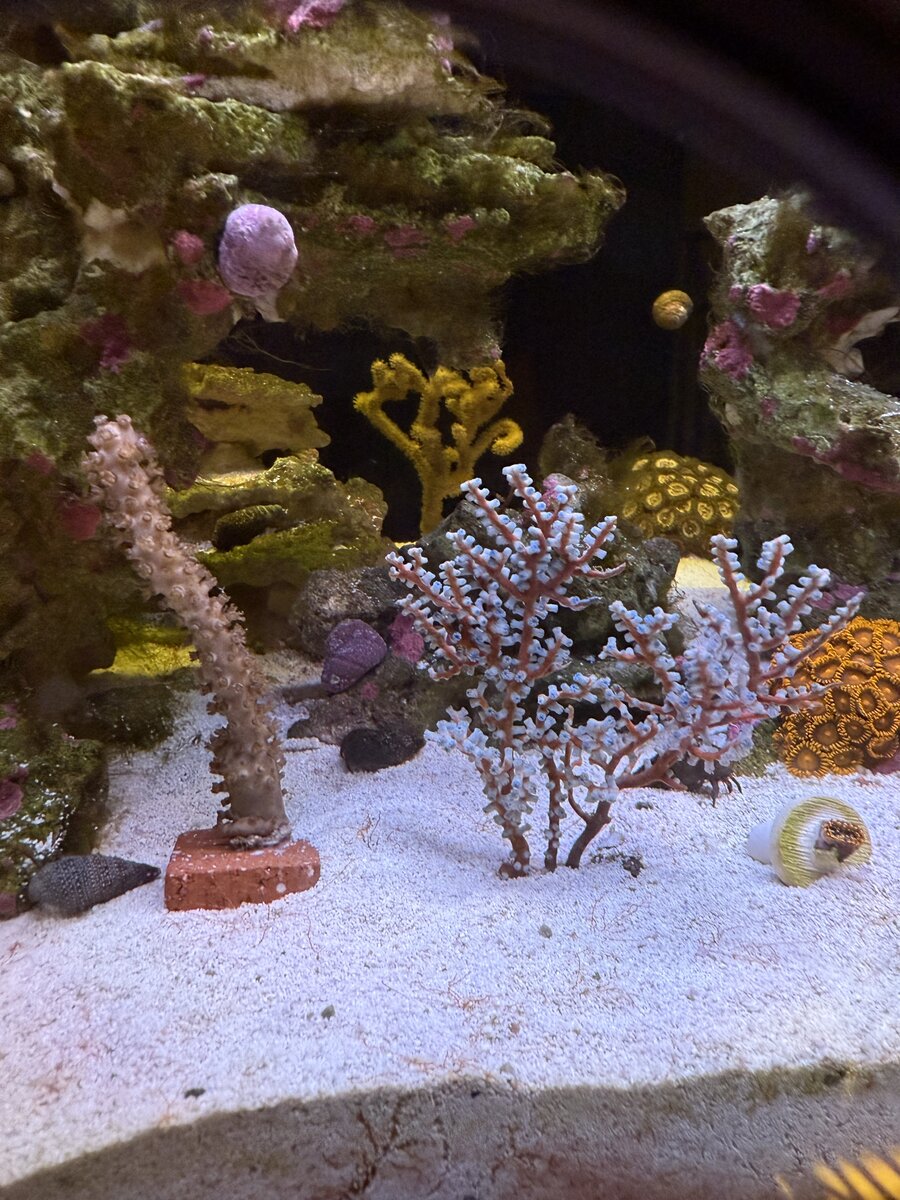 IMG_9034.jpeg