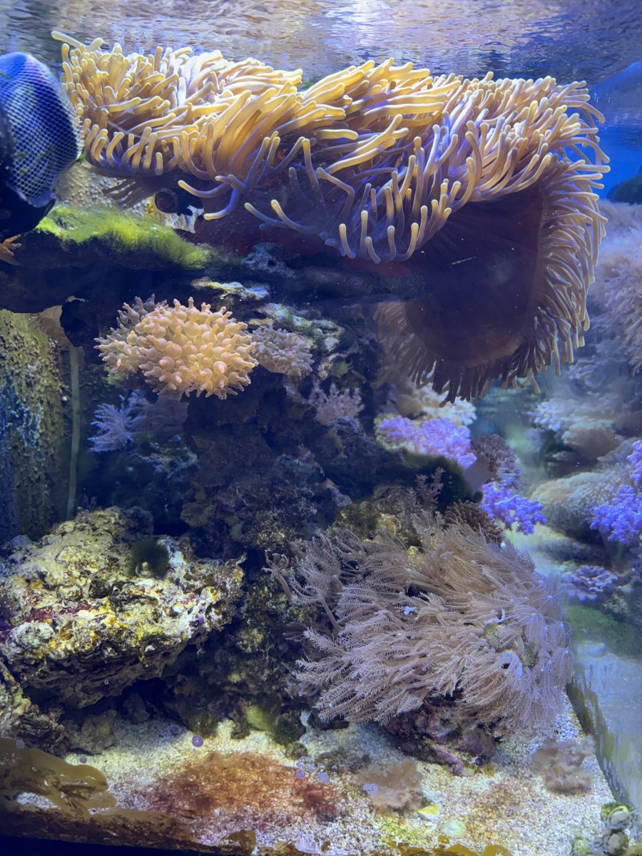 IMG_9040.jpeg