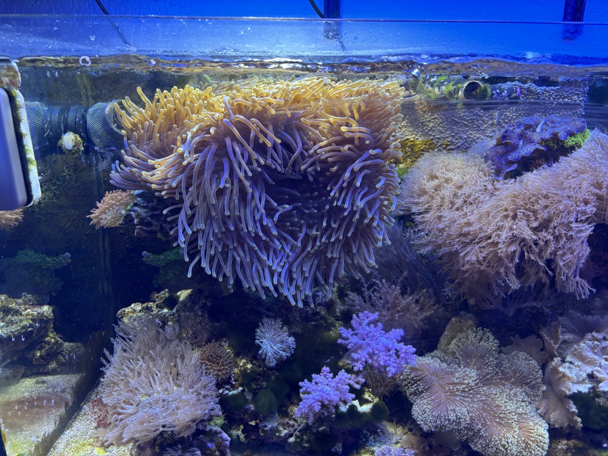IMG_9041.jpeg