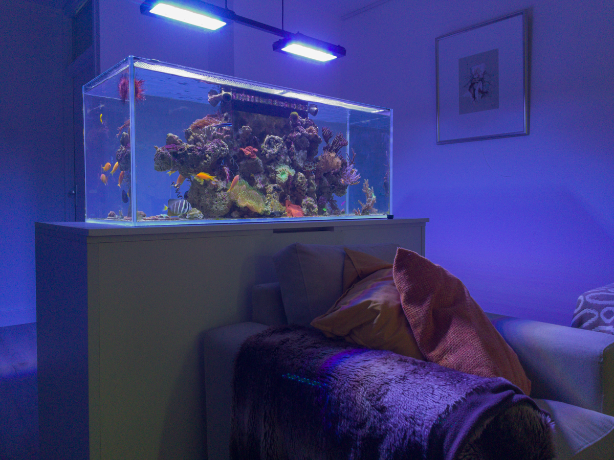 IMG_9041.png