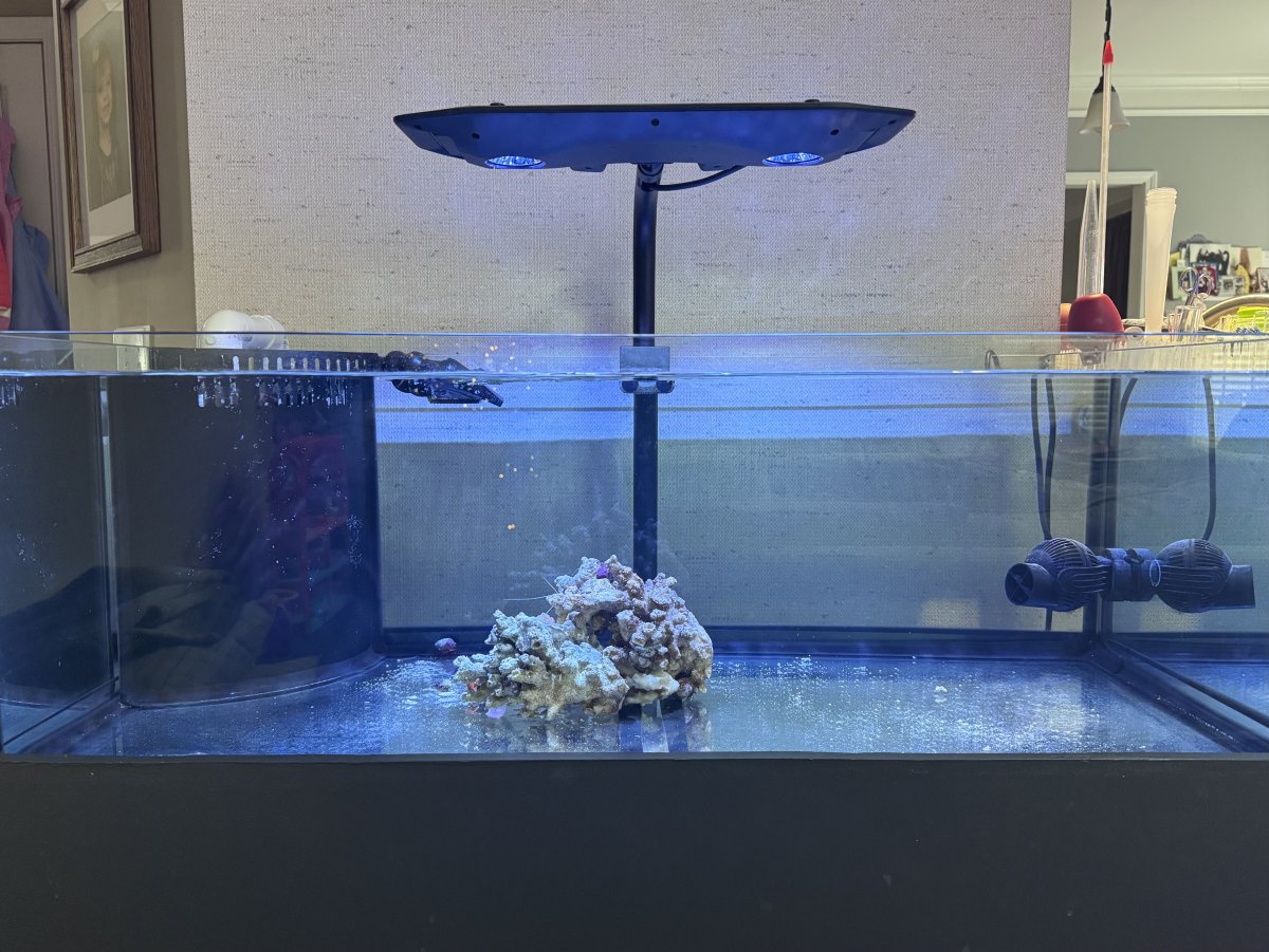 IMG_9045.jpeg