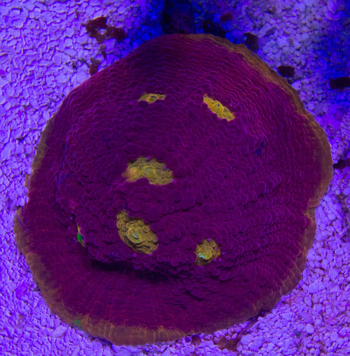 IMG_9058.jpg