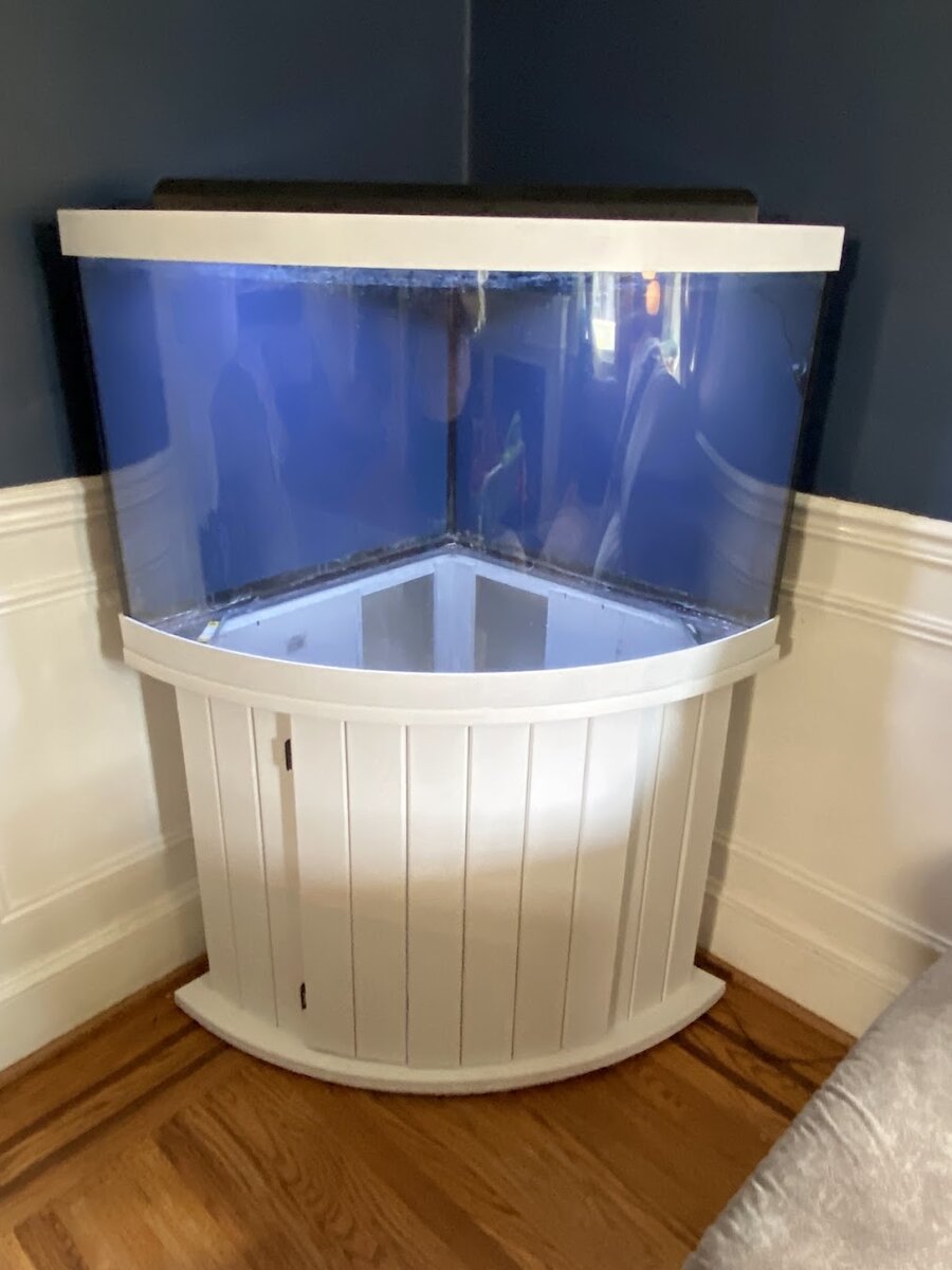 IMG_9064.jpeg